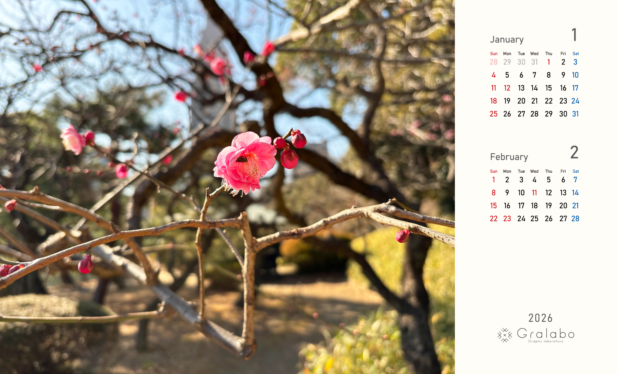 1、2月のカレンダー壁紙画像