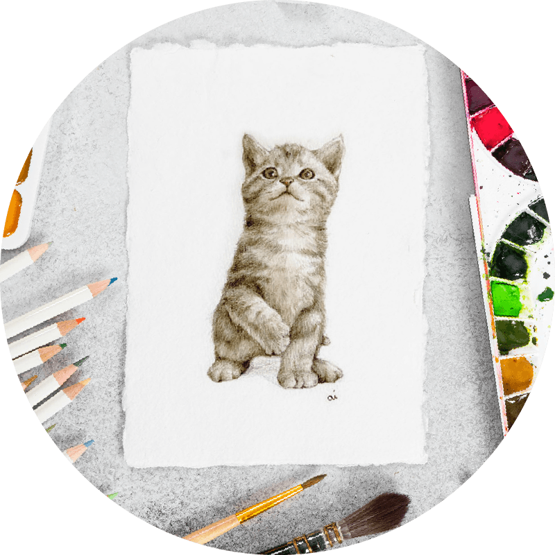 イラスト・挿絵の画像