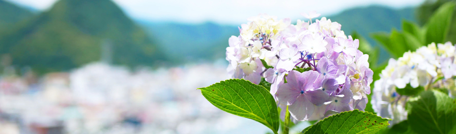 オリジナルの季節の風景の画像